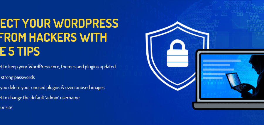 protect wordpress website